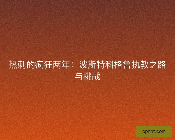 热刺的疯狂两年：波斯特科格鲁执教之路与挑战